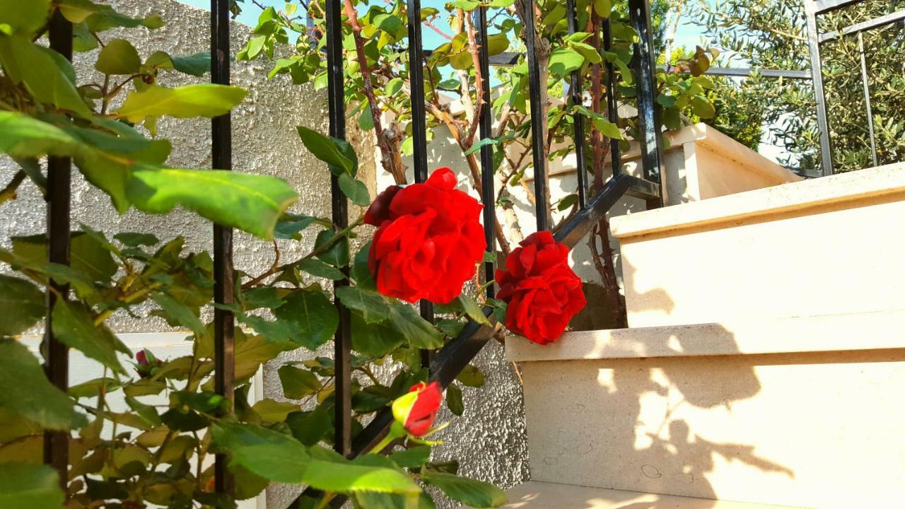 Apartmani Bezma Bol Bagian luar foto